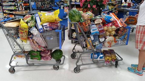 HSIT grocery carts