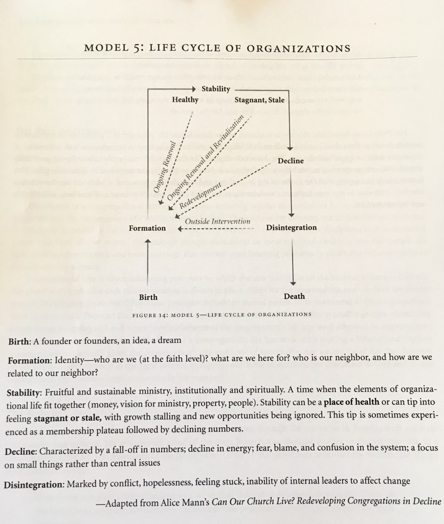 life cycle model