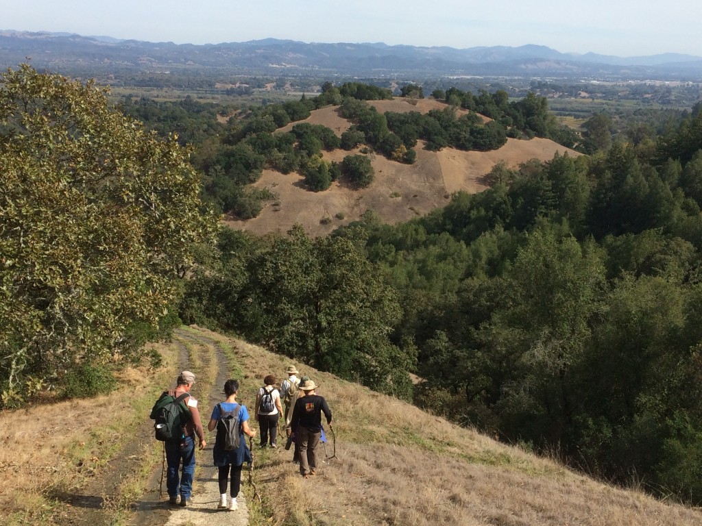 hiking at the bishops ranch