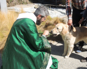 Blessing of Animals 