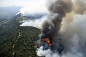 santa rosa fire