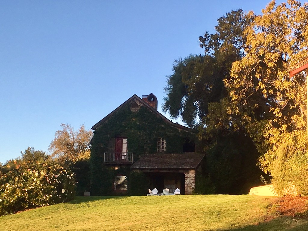 Ranch House, covered in ivy, surrounded by trees and a green lawn, with small white Adirondack chairs 