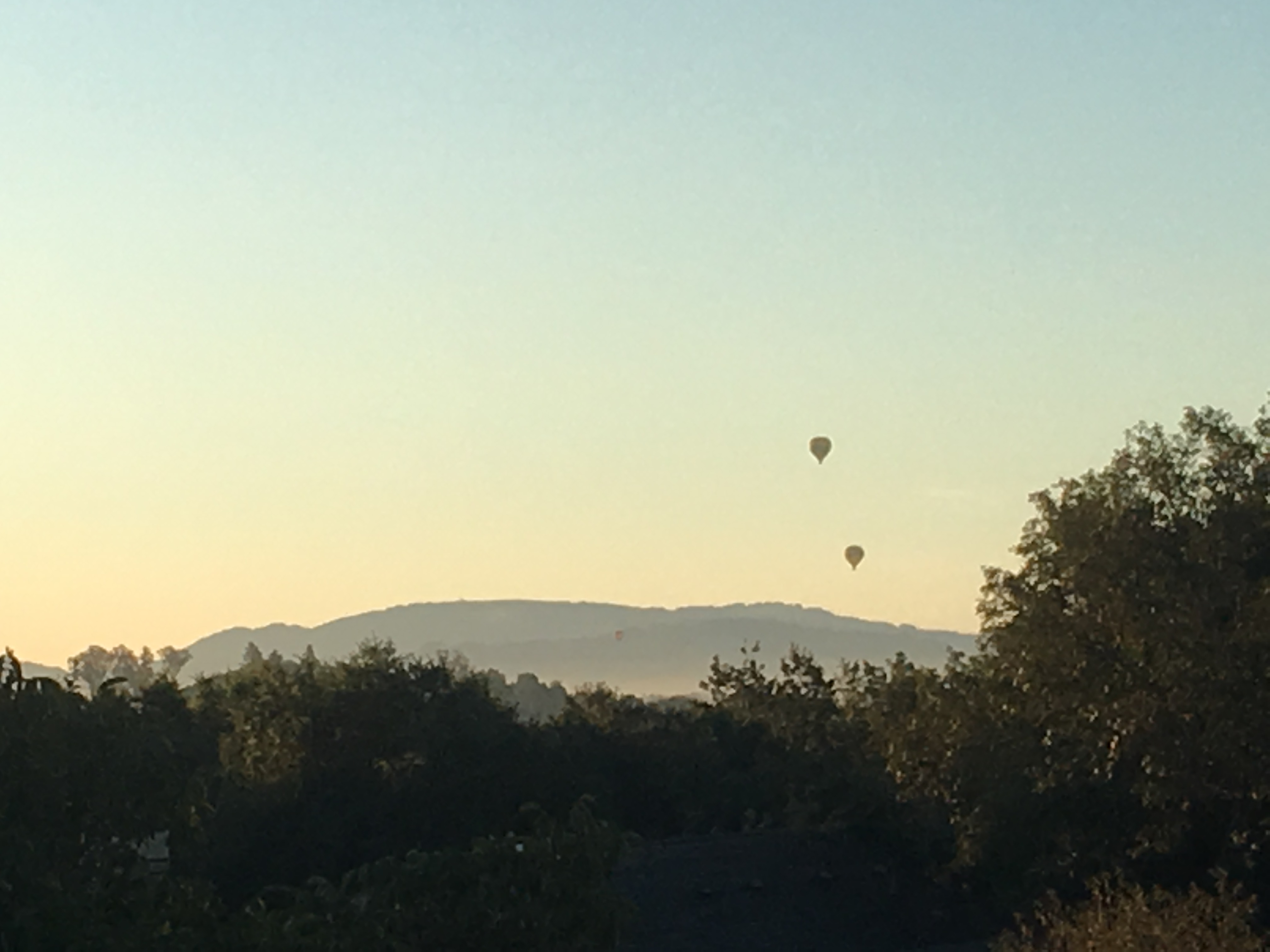 Two hot air balloons in the sky over trees and hills, against a pale morning sky.