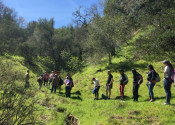 fall hike at the bishop's ranch